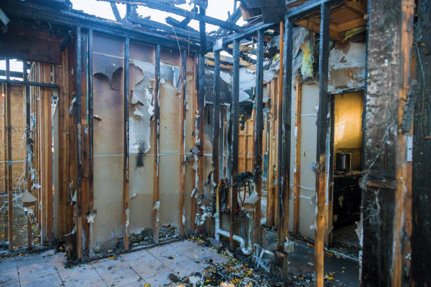 Professional Soot Cleanup technician working in Ashton, MD